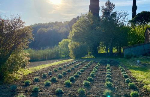 Casa Vacanze Podere San Giusto Volterra - Foto 61
