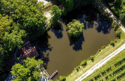 Kuća za odmor Nikol - Foto 9