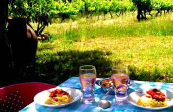 Linhal das Meias - São José das Matas - Foto 44