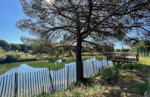 Les pins du Capri - Meublé de tourisme 3 étoiles - Foto 29
