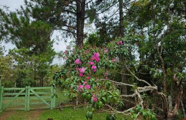 Casa das Hortênsias - Foto 11