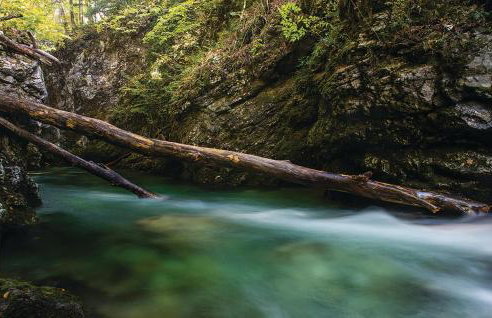 Amazing Home In Podstene - Foto 41