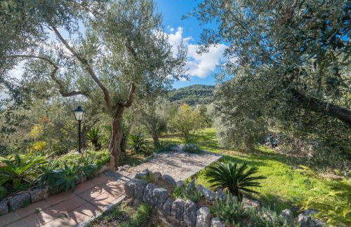 S'Olivaret - Foto 47