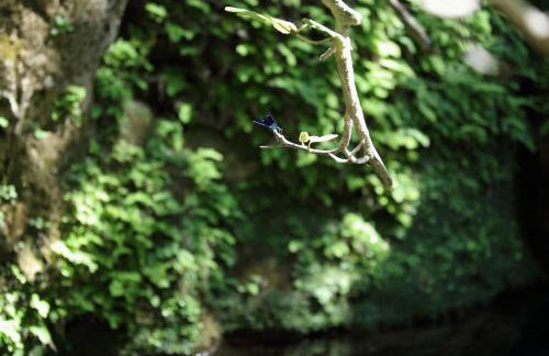 Paradise Apartments - Foto 43