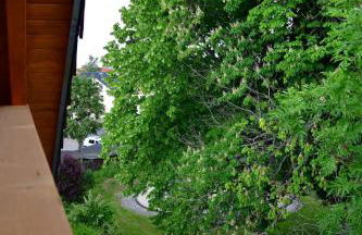 Domizil Eutschützgrün - Foto 2