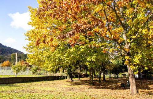 Vue du Gar - Foto 25