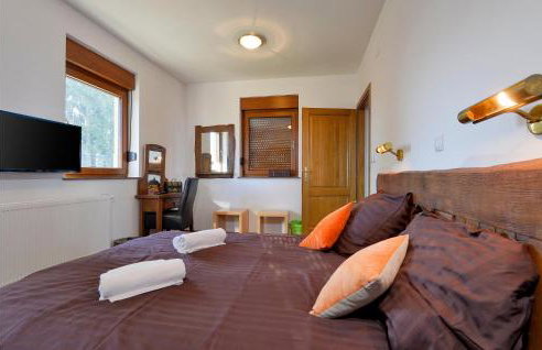 Nice Home In Zelezna Gora With Sauna - Foto 49