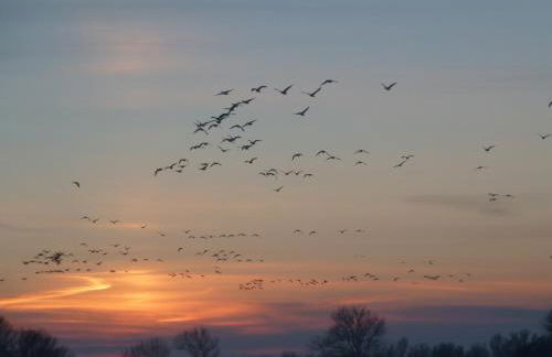 Ferienhäuser Salzhaff-Romantik - Foto 62