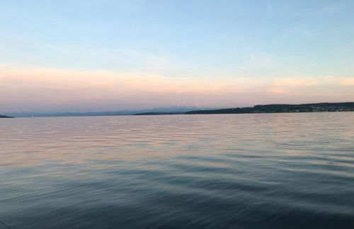 Über den Dächern von Bodman - Foto 22