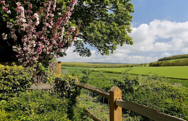 Charming Cottage for 10 in Heart of South Downs - Foto 48