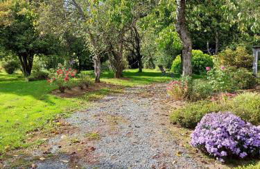 Le nid dans le chêne - Photo 29