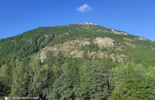 La Salle les Alpes : Charmant Appartement T2 30 M2 - Photo 20