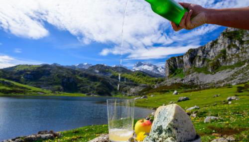 Escuelas de collía D - Foto 3