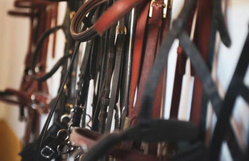 Quinta Lusitânia - Foto 46