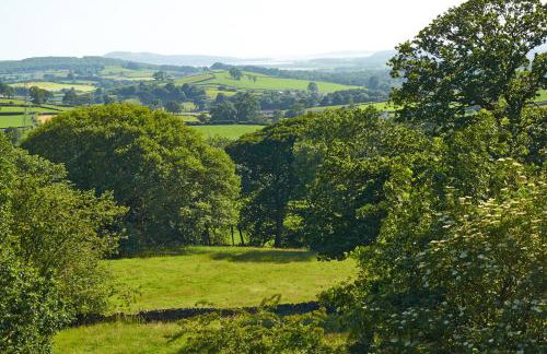 Helm Mount Lodge & Cottages - Foto 10