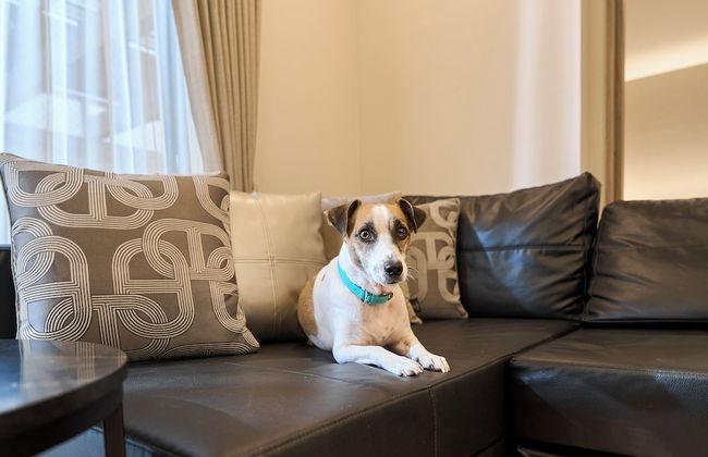 R.KAMAKURA - Foto 24