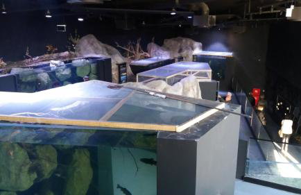 Albert Home - Foto 43