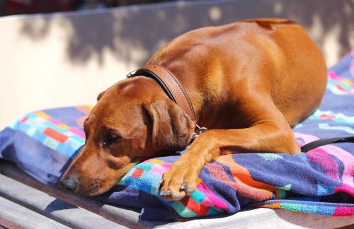 Residenza Capriccioli - Foto 68