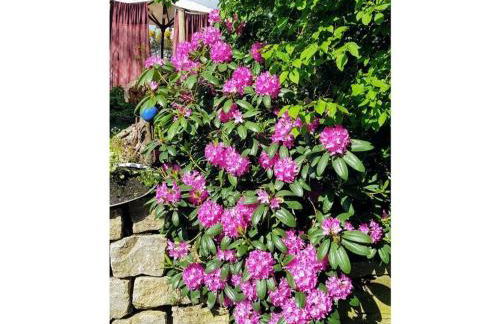 Frankenwaldhaus Comfortable Holiday Residence - Foto 23