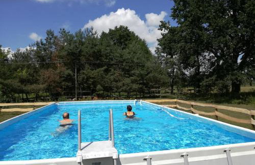 Agroturystyka Pod Modrzewiami - Foto 66