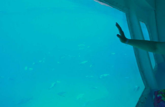 Cala Saladeta + Ses Margalides Boat Trip - Foto 8