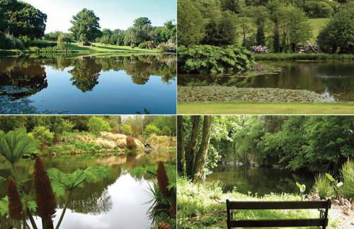 Bonython Farmhouse - Foto 27