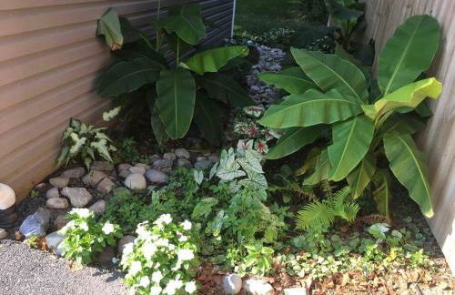 Crow's Nest - Private Guest Apt Near Bike Trail/3.7 mi to Beach - Foto 2