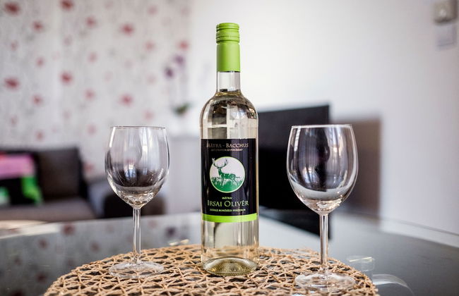 Grand Budapest Penthouse - Photo 46