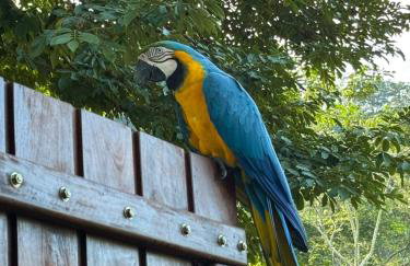 Estância Vó Maria em Bodoquena - Foto 33