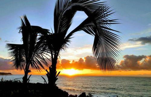 Pahoa Tropical Garden Getaway - Foto 1