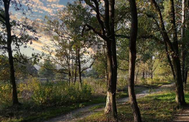 Ferienhaus Boschhuys - Foto 26