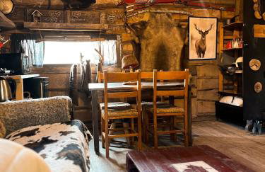 La Cabane des Trappeurs - Foto 43