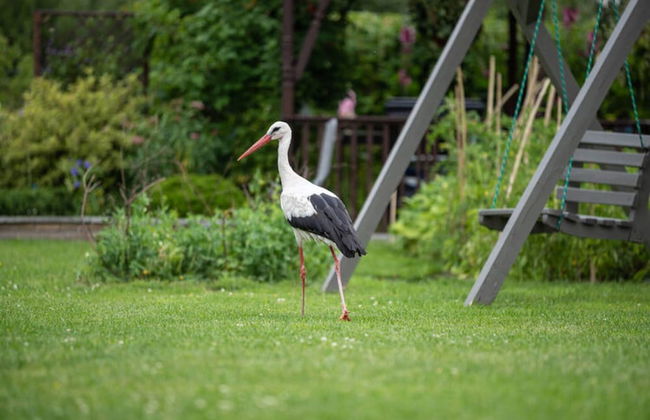 Summer House in Dabrowa by the Sea - Photo 15