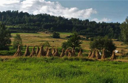 Apartamenty Ancymon - Foto 10