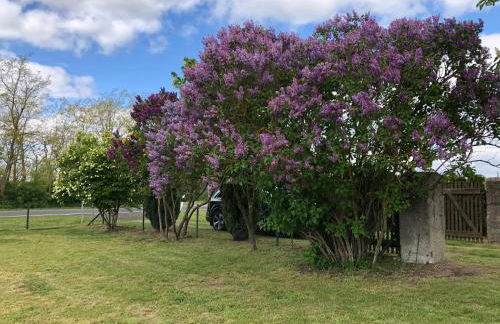 Ferienhaus Biene - Photo 19