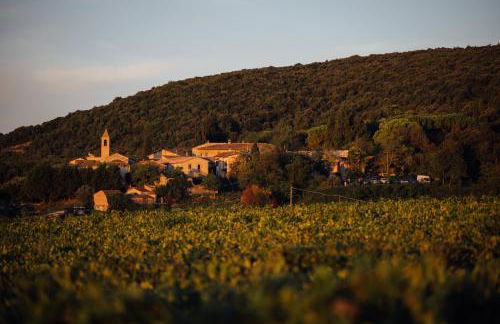 Fattoria San Donato - Foto 57