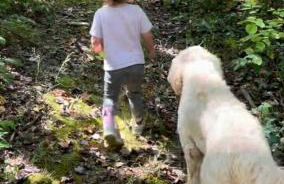 Fern Hill Cabin - Foto 36