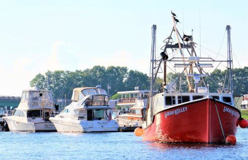 Circa 1789 Historic South End Downtown Home - Foto 54