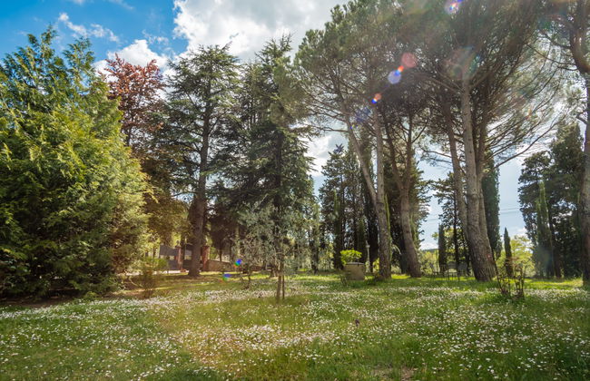 Villa Le Pine - Photo 42