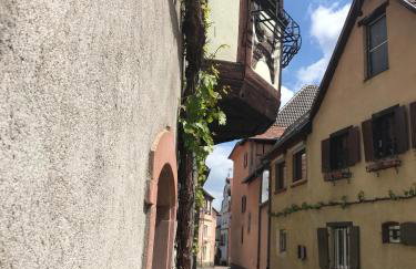 AUX DEUX CIGOGNES AMMERSCHWIHR - Foto 36