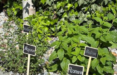 Marchegg Apartments - Foto 26