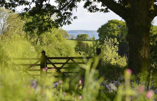 Dandelion Cottage, Amroth - Foto 25
