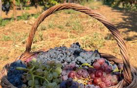 Terra Hélios Suites & Studios - Foto 10