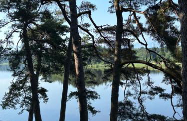 Villa Vilma Antica - Foto 33