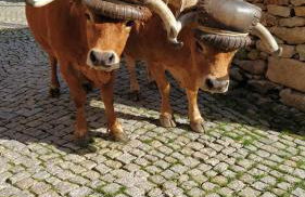 Aldeia de Moura Morta - Foto 27