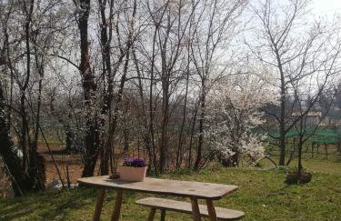 La Caneveta al Piave - Foto 26