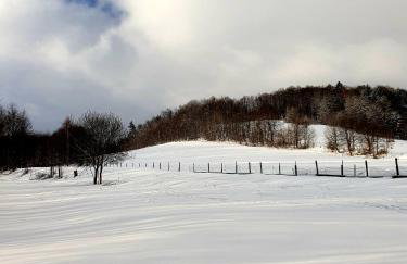 Agroturystyka Natura - Foto 14