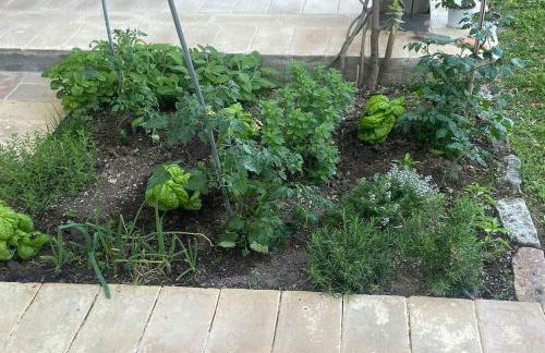 Villa Fontelinda - Foto 37