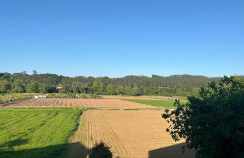 El Gallo Azul - Foto 15