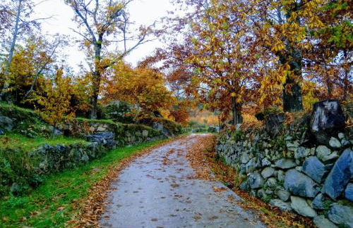 Casa la Fuentecilla - Photo 18